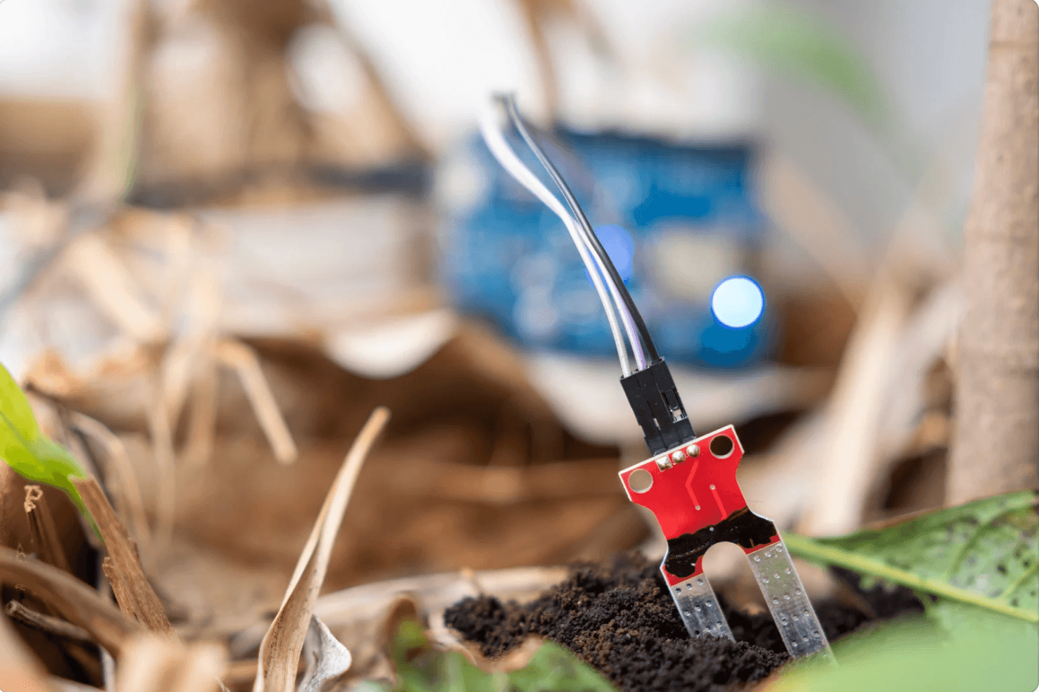 IoT Sensors