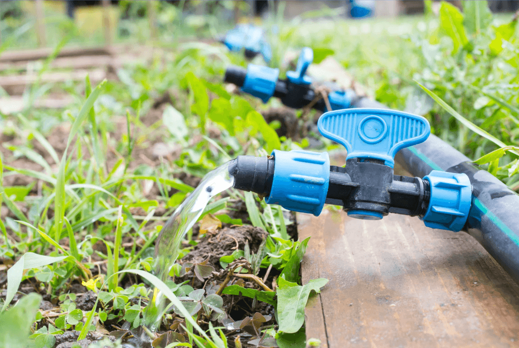 Smart Irrigation